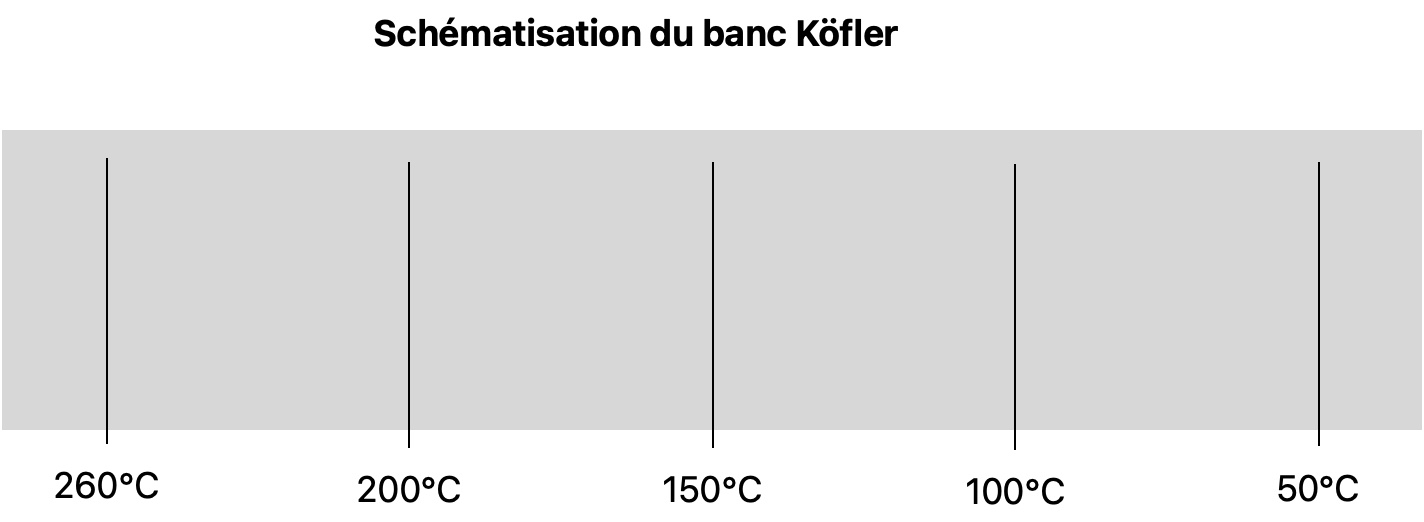 Première diapositive